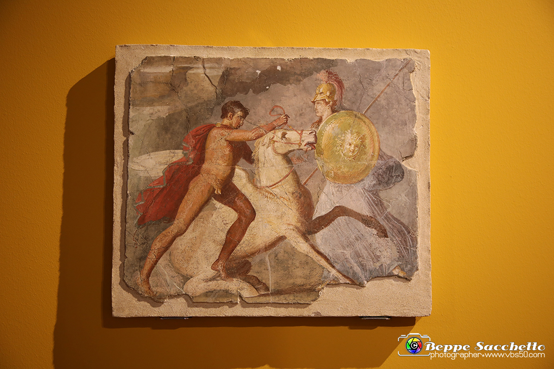 VBS_8891 - Mostra Invito a Pompei.jpg